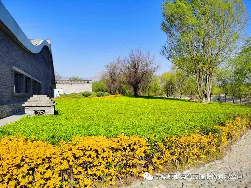 人间四月天，看遍原歌姹紫嫣红。