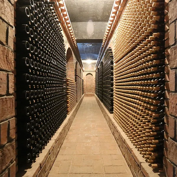 葡萄酒可以放冰箱里存放吗?