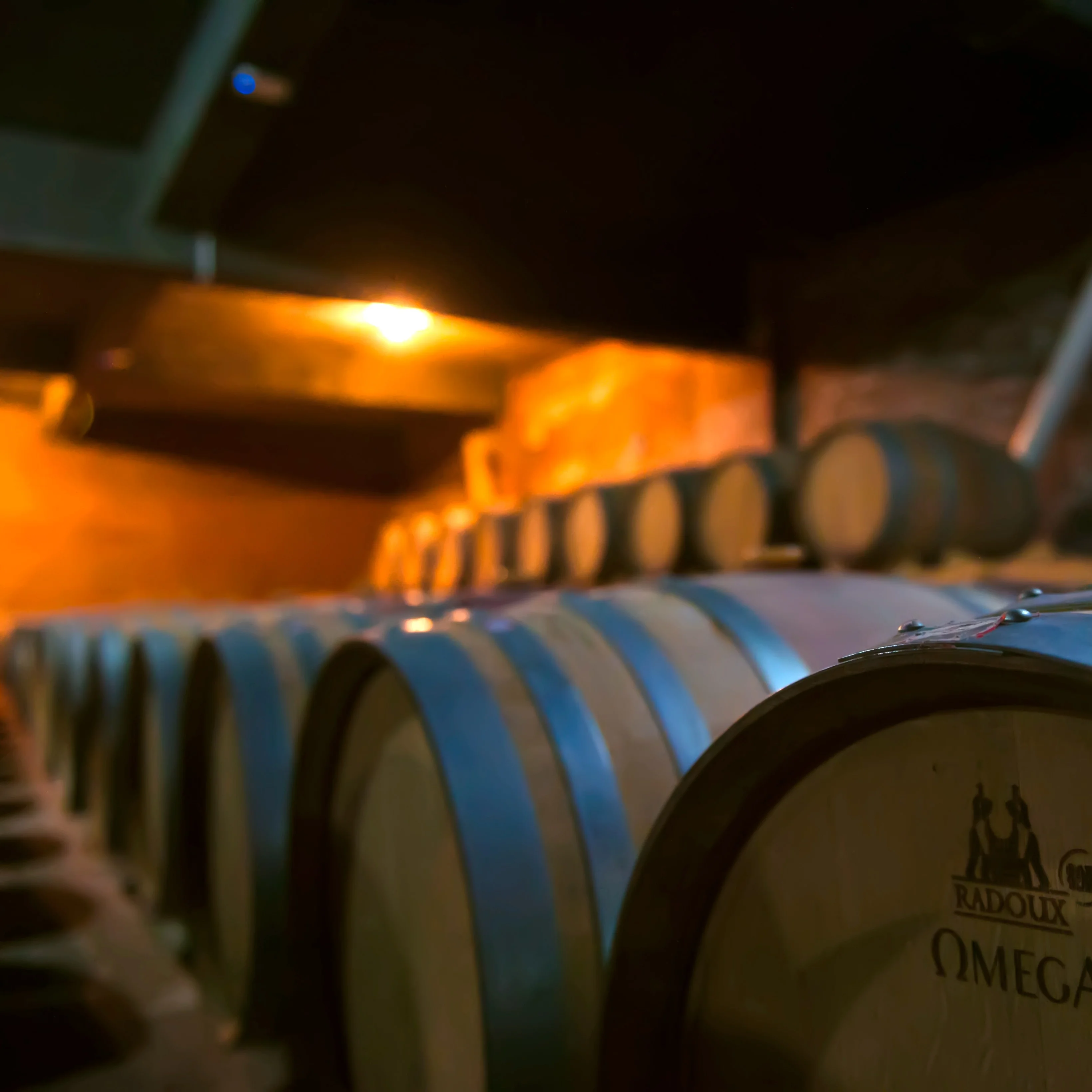 宁夏葡萄酒的香气从哪来？90%的人看完惊掉下巴