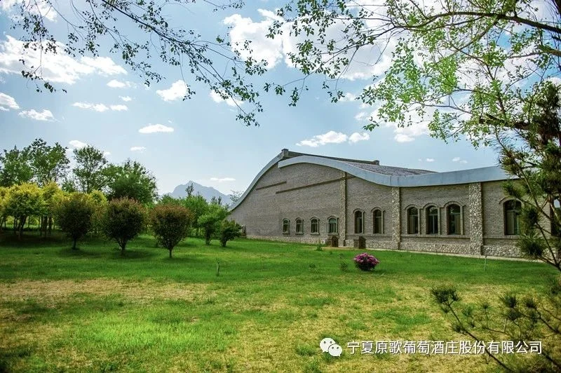 便是人间好时节∣原歌酒庄·春夏秋冬记录